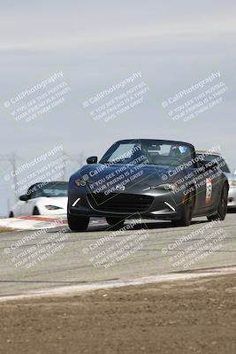 media/Mar-30-2025-Speed Ventures (Sun) [[39e6b1441d]]/Yellow/Session 2 (Grapevine)/